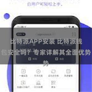 比特派APP安装 比特派钱包安全吗？专家详解其全面优势