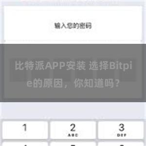 比特派APP安装 选择Bitpie的原因，你知道吗？