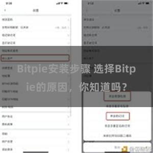 Bitpie安装步骤 选择Bitpie的原因，你知道吗？