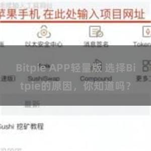 Bitpie APP轻量版 选择Bitpie的原因，你知道吗？