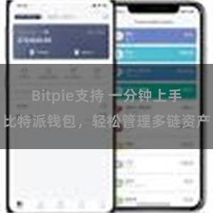 Bitpie支持 一分钟上手比特派钱包，轻松管理多链资产