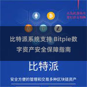 比特派系统支持 Bitpie数字资产安全保障指南