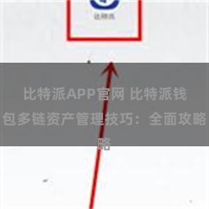 比特派APP官网 比特派钱包多链资产管理技巧：全面攻略