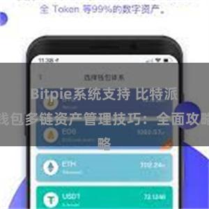 Bitpie系统支持 比特派钱包多链资产管理技巧：全面攻略