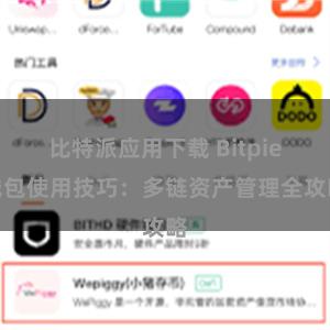 比特派应用下载 Bitpie钱包使用技巧：多链资产管理全攻略