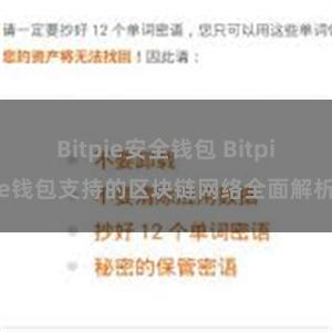 Bitpie安全钱包 Bitpie钱包支持的区块链网络全面解析