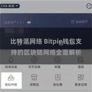 比特派网络 Bitpie钱包支持的区块链网络全面解析