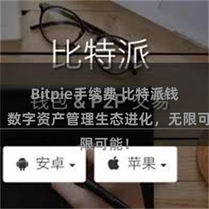 Bitpie手续费 比特派钱包：数字资产管理生态进化，无限可能！