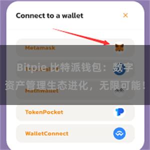 Bitpie 比特派钱包：数字资产管理生态进化，无限可能！