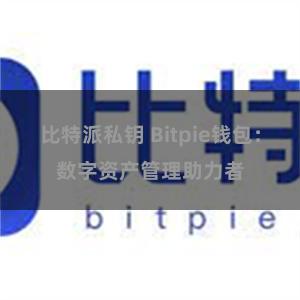 比特派私钥 Bitpie钱包：数字资产管理助力者