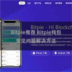 Bitpie推荐 Bitpie钱包常见问题解决方法