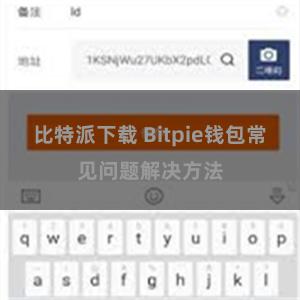 比特派下载 Bitpie钱包常见问题解决方法