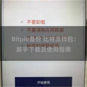 Bitpie备份 比特派钱包：新手下载及使用指南