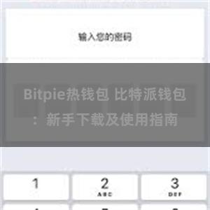 Bitpie热钱包 比特派钱包：新手下载及使用指南