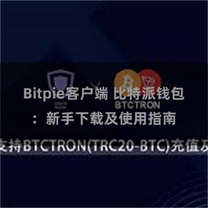 Bitpie客户端 比特派钱包：新手下载及使用指南