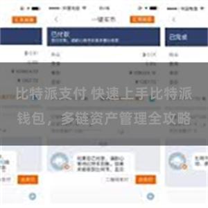 比特派支付 快速上手比特派钱包，多链资产管理全攻略