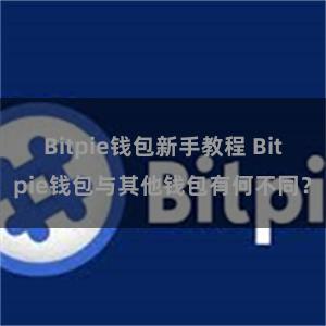 Bitpie钱包新手教程 Bitpie钱包与其他钱包有何不同？