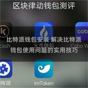 比特派钱包安装 解决比特派钱包使用问题的实用技巧