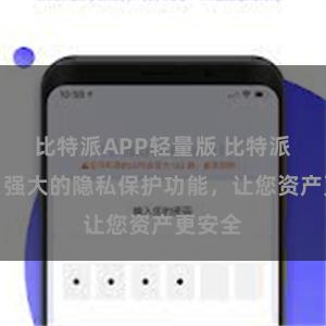 比特派APP轻量版 比特派钱包：强大的隐私保护功能，让您资产更安全