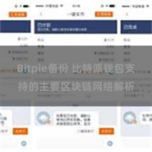 Bitpie备份 比特派钱包支持的主要区块链网络解析