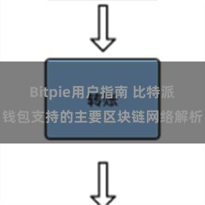 Bitpie用户指南 比特派钱包支持的主要区块链网络解析