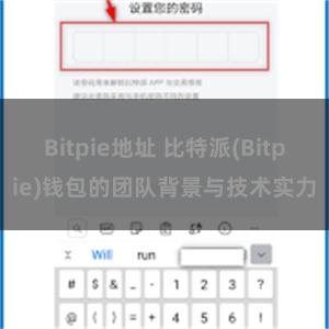 Bitpie地址 比特派(Bitpie)钱包的团队背景与技术实力