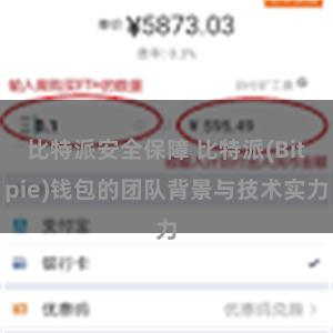 比特派安全保障 比特派(Bitpie)钱包的团队背景与技术实力