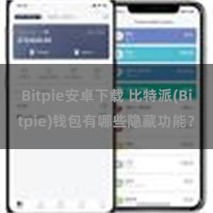 Bitpie安卓下载 比特派(Bitpie)钱包有哪些隐藏功能？