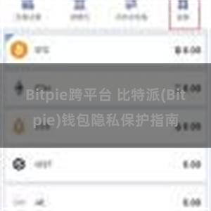 Bitpie跨平台 比特派(Bitpie)钱包隐私保护指南