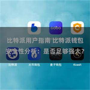 比特派用户指南 比特派钱包安全性分析：是否足够强大？