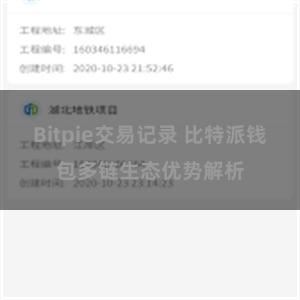 Bitpie交易记录 比特派钱包多链生态优势解析