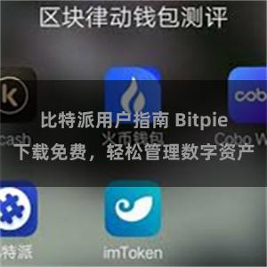 比特派用户指南 Bitpie下载免费，轻松管理数字资产