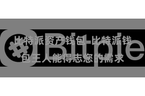 比特派资产钱包  比特派钱包王人能得志您的需求